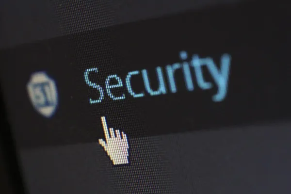 WordPress for business website security