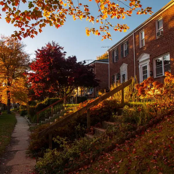 Townhomes on a residential street in the Ridgeleigh area of Parkville, Maryland
